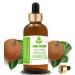 Pure Herbs Chaulmoogra Oil (Hydnocarpus kurzii) pure & natural therapeutic carrier oil with pipettes (50 ml)