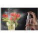 JamHooDirect 8Pcs 30ml Spray Bottle Empty Plastic Fine Mist Travel Atomiser Set with 2 Funnels - Clear Refillable & Reusable Mini Travel Bottles Toiletries Liquid Containers for Cosmetic (4 Colors) - Buy Online on GoSupps.com