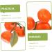 Zerodeko 3pcs Simulation Sugar Orange Plastic Fruit Decor Orange Model House Decorations for Home Artificial Orange Home D cor Playhouse Toy Photo Prop Household Showcase Foam - Buy Online on GoSupps.com