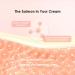 glowiest EFFORTLESS GLOW PDRN + Spicule Cream I Daily Face Moisturizer I Premium Salmon PDRN I Recovery & Moisture with Niacinamide PDRN & Spicule l Korean Skin Care for All Skin Types - Buy Online on GoSupps.com