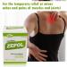 Zepol Original Topical Ointment for Muscles, Joints, Backache, Sprains & Strains - 1 oz (Pack of 2) - Buy Online on GoSupps.com