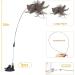 Sunshine Smile Cat Toys Set | Interactive Springs & Treats for Cats & Dogs - Perfect Pet Playtime - Buy Online on GoSupps.com
