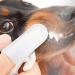 Gralara 100Pcs Pet Care Finger Disposable Plaque & Dogs and Cats Freshen Breath - Buy Online on GoSupps.com