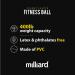 Milliard Peanut Ball Physio Roll for Exercise, Therapy, Labor, Birthing, and Dog Training - Buy Online on GoSupps.com