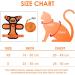 Breakproof Cat Leash Set & Adjustable Soft Kitten Vest - Reflective Stripes | Orange Small Dishes for Kittens - Buy Online on GoSupps.com