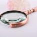 Spacmirrors Magnifying Glass 10 Times Non-Lighted Optical Lens HD Stainless Steel Handheld Magnifying Glass Magnifier - Buy Online on GoSupps.com