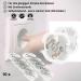 10x Socket Fuse Plug - In Protection | Extra Strong Child Lock Transparent | Tinos Rotary Mechanics Schuko - Buy Online on GoSupps.com