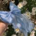 Limtula Bows Barrettes Big Bows Hair Clip Bows hairpin Ribbon Hair Clip Bowknot Hair Clip Ponytail Clip Bows Hair Accessories Champagne - Buy Online on GoSupps.com