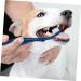 BESPORTBLE 3pcs Pet Double Toothbrush Puppy Teeth Brushes Cat Toothpaste Cat Toothbrushes Sharpened Nylon Blue 1 count (Pack of 1) - Buy Online on GoSupps.com