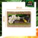 Buy Terra Exotica Sphagnum Moss (3x1 Kg) - Premium Peat Moss for Garden Houseplants & Terrariums - International Shipping Available - Buy Online on GoSupps.com