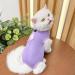 YouLhamy Katzenbody - Post-Op Recovery Suit for Cats | Anti-Lick Wound Protection | Purple Size S - Buy Online on GoSupps.com