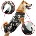 Buy Doton Hospital Suit for Dogs & Cats | Wound Protection Medical Clothing & Recovery Wear (XXXL Camouflage) - Buy Online on GoSupps.com