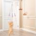 Interactive Bouncing Cat Toys - Wiggly Spring Ball & Door Hanging Bell Toys for Indoor Cats | Eliminate Boredom & Promote Exercise - Buy Online on GoSupps.com