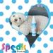 Speak Pet Products Natural Waterless Bath Spray for Dogs - Hypoallergenic & Unscented - 8oz - Buy Online on GoSupps.com