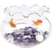 WAYBER Irregular Crystal Quartz Stones 1lb - Purple Decorative Pebbles for Aquariums, Tanks, Vases, Air Plants, Succulents - Buy Online on GoSupps.com