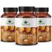 Tejocote Blend - 100% Natural - Premium Tejocote Root - Natural and Healthy Supplement Detox - Raiz de Tejocote - Buy Online on GoSupps.com