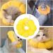 Adjustable Cat Recovery Collar Cat Elizabethan Collar Pet Cone Collar Cat Cone Collar for Anti-Bite Lick Kittens and Puppies Wound Healing (S sun flower) sun flower rainbow sun flower 22.6*8.6*4 - Buy Online on GoSupps.com