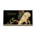 CATKIN Eyebrow Color Powder - 3 Shades in Brown & Black (C01 Light Brown) - Buy Online on GoSupps.com
