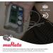 Murata LR1130 Battery AG10 389A - 1.55V Alkaline Button Cell (5-Pack) | International Shipping Available - Buy Online on GoSupps.com