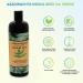 Neem Oil 16 Oz/473ml-100% Pure and Natural Cold-Pressed and Unrefined by Oreola Naturals. - Buy Online on GoSupps.com