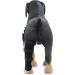 Dog Rear Leg Protector Dog Safe Neoprene Material Rear Leg Support Prevent Licking for Injury Recovery (L) - Buy Online on GoSupps.com