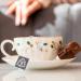 Bun in the Oven Herbal Tea Blend for First Trimester, 15 Biodegradable Tea Pyramids - Morning Sickness Relief for Pregnant Women - Buy Online on GoSupps.com
