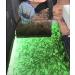 Lightingsky 12V Submersible Fishing Light with 180 LEDs - 1080 Lumens - Green - 5m Cord - Buy Online on GoSupps.com
