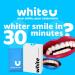 WhiteU Teeth Whitening Strips - 14 Peroxide-Free Enamel-Safe Strips for Sensitive Teeth - Advanced Professional Whitening & Tartar Control - Mint Flavor - Buy Online on GoSupps.com