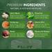 Mushroom Nootropic Pouches - 600mg Organic Mushroom Energy Ultra Pouches with Lion's Mane Reishi Cordyceps for Focus & Clean Energy - Zero Caffeine or Sugar (5 Can Pack Sour Apple) Sour Apple 20 Count (Pack of 5) - Buy Online on GoSupps.com
