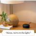 Echo Dot (3rd Gen) Charcoal Bundle with Philips Hue White 2-pack Smart Bulbs - Bluetooth & Zigbee Compatible - Buy Online on GoSupps.com