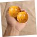JECOMPRIS 2S Health Ball - Seewide Body Massage Balls for Muscle Relief & Yoga | Natural Resin Massage Accessories - Buy Online on GoSupps.com