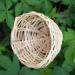 FLAMEER 6pcs Bamboo Wicker Woven Canary Nest Pans Small Bird Nest Boxes Cage Hanging - Buy Online on GoSupps.com