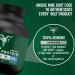 Bolt Biozyme Plant Protein - Vegan Superfood with Phycocyanin & Ayurvedic Herbs | Complete Amino Acids for Muscle Support | 2Lb Madagascar Vanilla - 26 Servings - Buy Online on GoSupps.com
