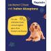 FLEXADIN Adult Dog | For healthy joints in adult dogs | With undenatured type II collagen - 2-month pack - Buy Online on GoSupps.com