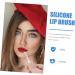 minkissy Facial Tools 2 Sets Lip Gloss Brush Face Tools Lip Applicator Wands Eyeshadow Makeup Brush Lip Care Applicator Make up for Face White Silica Gel Miss Eye Shadow Brush - Buy Online on GoSupps.com