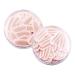 FRCOLOR 3 Sets Double Eyelid Sticker Droopy Eyelid Lifter Eyelid Glue Eye Lift Invisible Tape Mesh Tape Invisible Eyelid Sticker Eye Lid Tape Eye Shadow Eyes Double Eyelid Tape - Buy Online on GoSupps.com