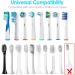 Enerfort Electric Toothbrush Heads Case - Clear, Compatible with Oral B and Philips Brushes - Buy Online on GoSupps.com