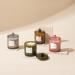 La Jolie Muse Damascen Rose Fragrance Candle - 75 Hours of Aromatic Bliss Natural Wax & Floral Aroma - Perfect Gift for Women - 285g Rose Noir & Oud - Buy Online on GoSupps.com