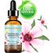 Buy 100% Pure Manuka Oil - Cold Pressed Virgin Carrier Oil for Skin Hair & Nails - 0.5 Fl. oz by Botanical Beauty - Buy Online on GoSupps.com