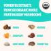 USDA Organic Ultimate Mushroom Complex Powder - Lions Mane, Reishi, Cordyceps, Chaga, Turkey Tail, Maitake - 60g - Add to Coffee - Pure Extract Supplement - Buy Online on GoSupps.com