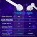 EFX Sports Kre-Alkalyn Powder 500g PH-Correct Creatine Monohydrate | Multi-Patented Formula Gain Strength Build Muscle & Enhance Performance Unflavored 500 gram Unflavored 333 Servings (Pack of 1) - Buy Online on GoSupps.com