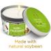SAGE + Palo Santo Aromatherapy Candle - House Energy Cleansing & Positivity Vibes - Buy Online on GoSupps.com