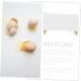 jojofuny Box Household Egg Holder Egg Tray Eggs Holder The Pet High Branch Anti-collision White re-usable White 26.5X16X10CM - Buy Online on GoSupps.com