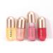 KISSIO Lip Plumper Gloss with Plant Extracts for Fuller & Hydrated Beauty Lips 5.5ml (05Dogwood) - Buy Online on GoSupps.com