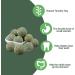 10pcs Barley Ears Chew Toys for Small Animals | Rabbit, Hamster, Guinea Pig | Teeth Grinding & Boredom Breakers - Buy Online on GoSupps.com