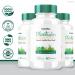 Plantsulin Oral Capsules - 2 Pack Gluco Supplement for Stable Healthy Levels | All-Natural Advanced Formula | 120 Capsules - Top Reviews - Buy Online on GoSupps.com