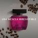 Coffee Woman Seduction Eau de Toilette Long Lasting Perfume for Women Sweet Floral Fragrance 3.4 Ounce Floral Fresh 3.4 Fl Oz (Pack of 1) - Buy Online on GoSupps.com