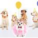 Zhenp Dog Wedding Dress Set - 3 Pieces Tutu Rock for Dogs Princess Crown Birthday Outfit & Collar for Little Pets - Buy Online on GoSupps.com