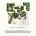 Thymes Eucalyptus Bar Soap - 6 Oz | Refreshing Eucalyptus Scent | International Shipping Available - Buy Online on GoSupps.com