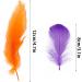 Coceca 300pcs Colorful Feathers for DIY Craft, Wedding, and Party Decor - Buy Online on GoSupps.com